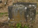 image of grave number 19250